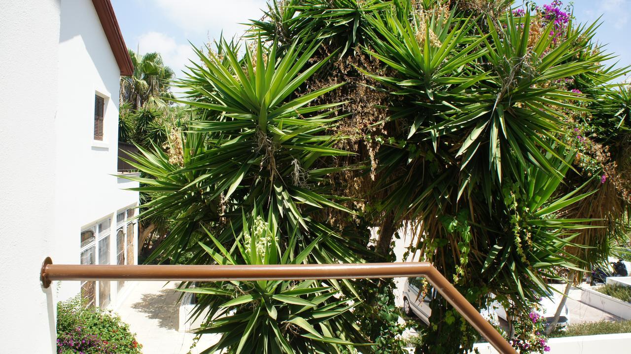 Limnaria Westpark 129 Lejlighed Paphos Eksteriør billede